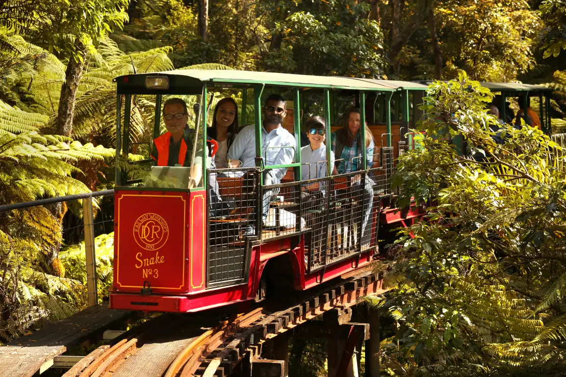 A only mountain rail in New Zealand